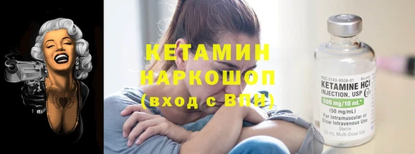 шишки Арсеньев