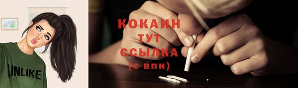 шишки Арсеньев