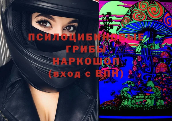 шишки Арсеньев