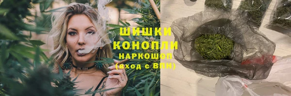 шишки Арсеньев