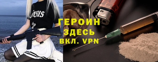 шишки Арсеньев