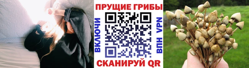 Галлюциногенные грибы ЛСД hydra ТОР Черепаново